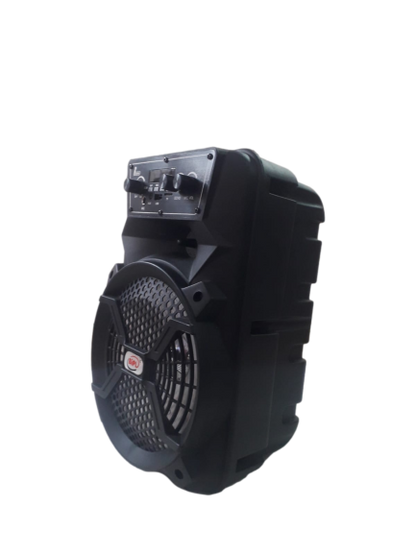 BIPL 50 W Bluetooth Rechargeable karaoke Portable Party Speaker with Mic