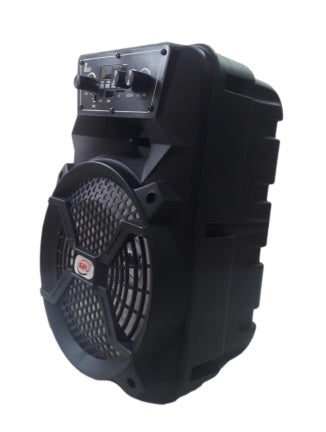BIPL 50 W Bluetooth Rechargeable karaoke Portable Party Speaker with Mic